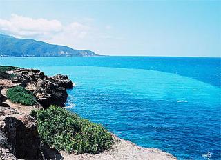 LE JOURNAL DE LA PERPLEXITE : LE PHILOSOPHE DE LA MEDITERRANEE