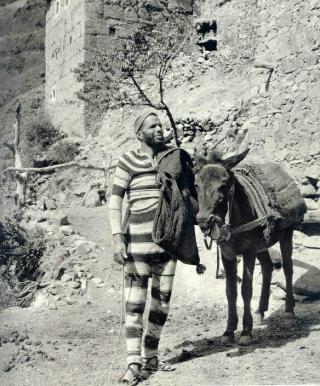 CHRONIQUE DE MOGADOR : LA MULE DU DESTIN