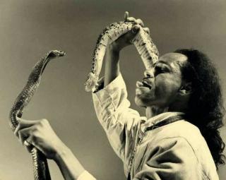 LE CHARMEUR DE SERPENT