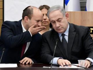 חדשות סבוניה: פרחח מקומי