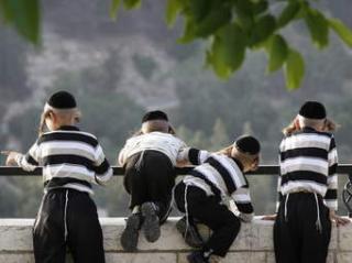 חדשות סבוניה: שיח חירשים