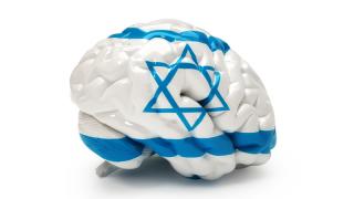 חדשות סבוניה: מוח יהודי