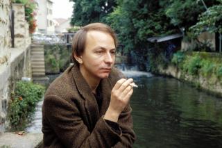 NOTE DE LECTURE : MICHEL HOUELLEBECQ, PARTICULES ELEMENTAIRES (1998)