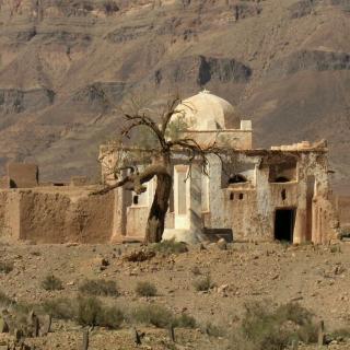 CHRONIQUE DE MOGADOR : LE KHLA DE BOUDERBALA