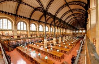 LE JOURNAL DE LA PERPLEXITÉ : LE DIVAN DE LA BIBLIOTHÈQUE