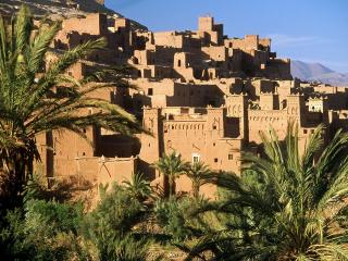 JOURNAL DE LA PERPLEXITE : UNE OASIS DANS LA VIE