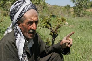 רוח נשברה: הדרך לתהום