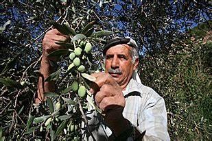 רוח נשברה: אוטואשמה