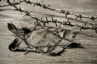 JOURNAL DE LA PERPLEXITE : LA PROTECTION DES ARAIGNEES
