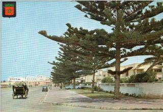 CHRNONIQUE DE MOGADOR : LES POLONAIS DE MOGADOR