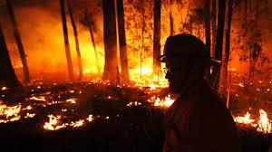 BILLET D’ALLEURS : LE PARADIS EN FLAMMES