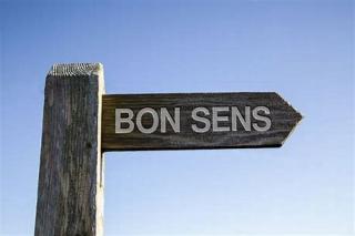 NOTES PHILOSOPHIQUES : LE BON SENS