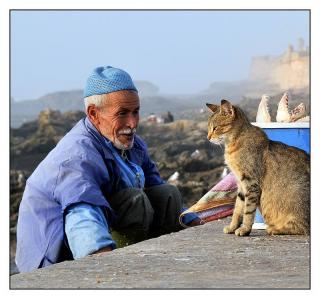 CHRONIQUE DE MOGADOR : LE VIEIL HOMME ET LE CHAT