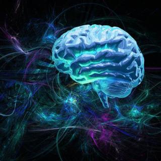 BRIBES PHILOSOPHIQUES : LE PSYCHISME CORPOREL