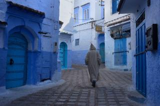 LE JOURNAL DE LA PERPLEXITE : UN NID DE COULEURS