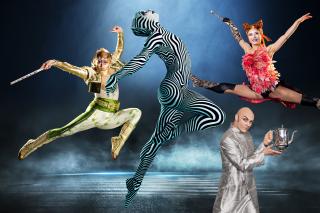 JOURNAL DE LA PERPLEXITE : L'ESPRIT DU CIRQUE