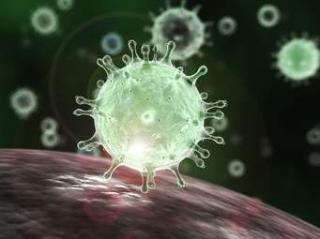 BILLET D’AILLEURS : LE MAL VIRAL