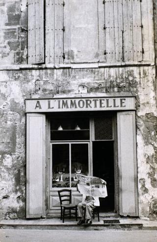 ALBUM DU MONDE : CLICHE DE L’IMMORTALITE