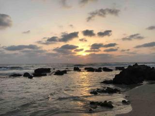 JOURNAL DE LA PERPLEXITE : LA MER DE L'ETERNITE