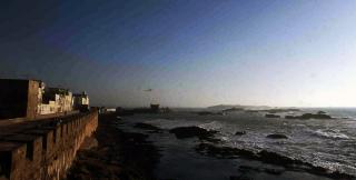 JOURNAL DE LA PERPLEXITE : AU CROISEMENT DES VAGUES ET DES VENTS