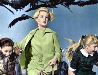 ANGLE DE VUE : ALFRED HITCHCOCK, LES OISEAUX (1963)