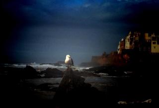CHRONIQUE DE MOGADOR : LA MORT DU PHENIX