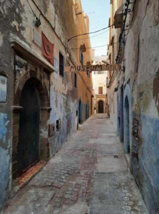 ALBUM DU MONDE : RUE DU MUSEE INTERNE