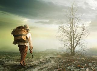 JOURNAL DE LA PERPLEXITE : LA LISIERE DE LA SOLITUDE