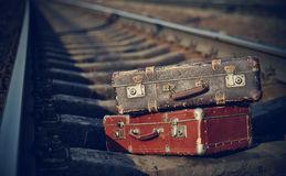 CARNET DE MIGRATION : LES VERTUS DE LA TEIGNE