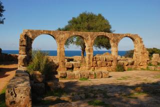 JOURNAL DE LA PERPLEXITE : HOMO MEDITERRANUS
